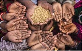 Global Report on Food Crises 2026: Over 266 million people across 47 countries face severe food insecurity